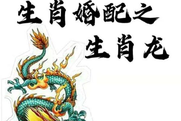 男龙和女鸡的属相合不合 男龙与女鸡相配的婚姻如何