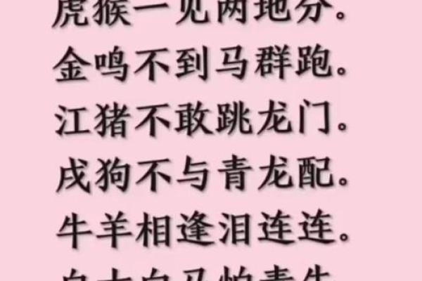 1999年的兔女最佳婚配属相是什么 1999年属兔女的婚配禁忌