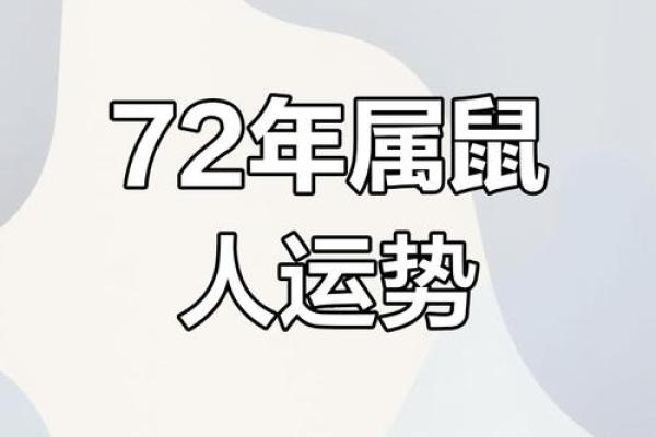 1972年属鼠人2025年全年运势详解，健康事业财运如何发展需注意什么？
