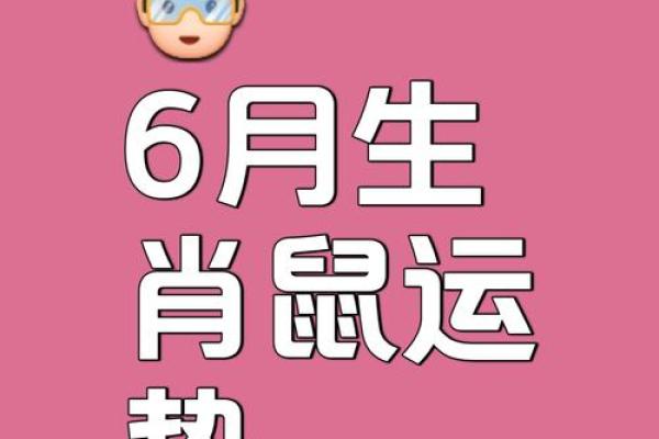 1972年属鼠人2023年全年运势运程完整版详解