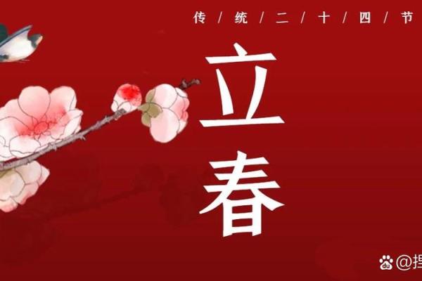 24年立春需要躲春的生肖(2021立春要躲春的生肖)