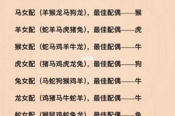 男马适合什么属相婚配 男马配什么属相相配