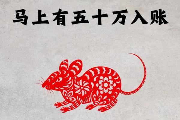 2025年属鼠人财运事业运势如何？有什么需要注意的？