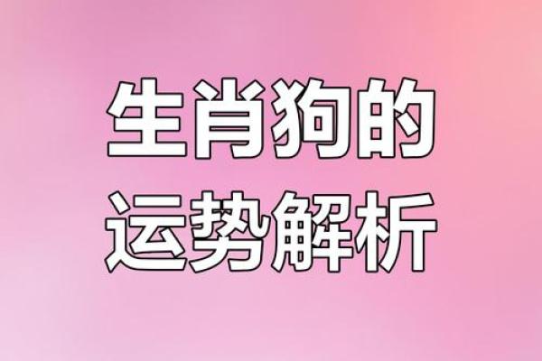 1994年出生的属狗人在2025年婚姻感情运势如何看正缘 1994年出生的属狗人在2025年婚姻感情运势如何看正缘