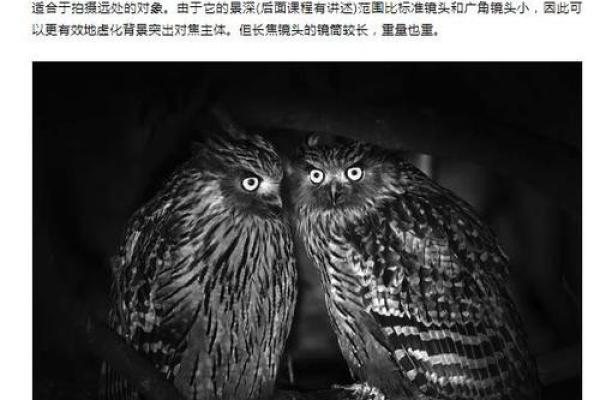 百战是指什么动物 百战百胜打一个最准确生肖