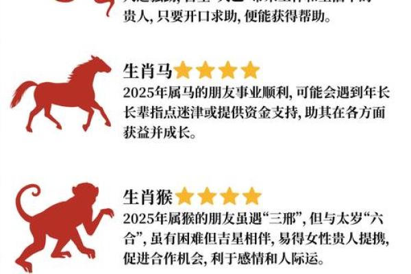 1984年属鼠人2025年全年运势详解，财运会有突破吗