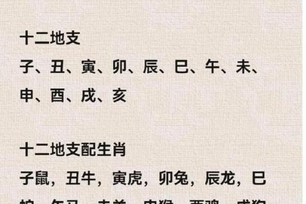 1984年属鼠人2025年全年运势详解，财运会有突破吗