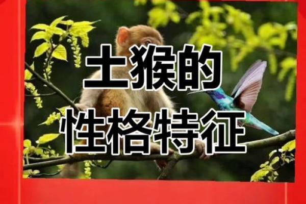 属猴几月出生能发大财 属猴几月出生最好命运如何