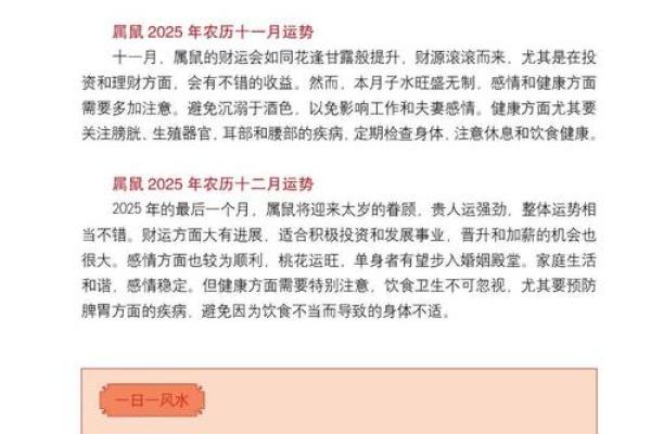 2025年农历每月生肖鼠运势运程完整解析与建议
