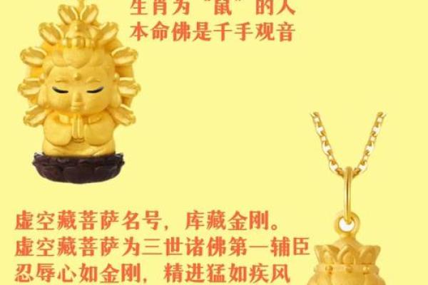 佛海无边打一生肖