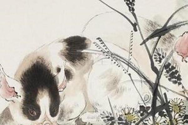 五叶神是什么生肖