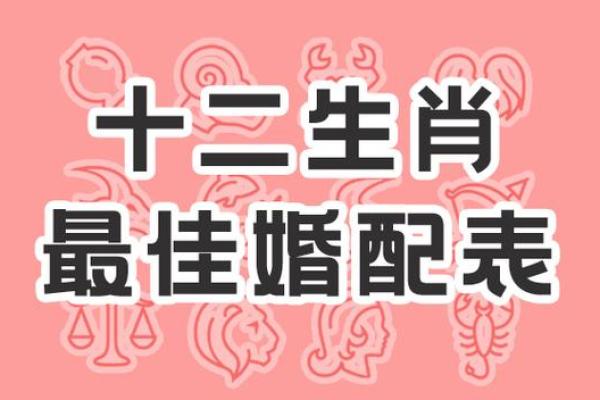 属相配对中哪些组合最容易产生两股麻绳拧成了死疙瘩？