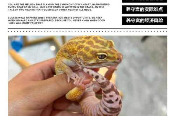 哪些动物最容易见异思迁并频繁更换栖息地或食物来源
