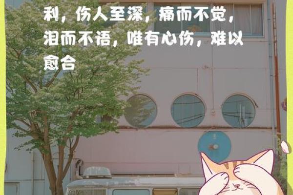六月飞霜打一生肖(六月飞霜打一生肖谜底)