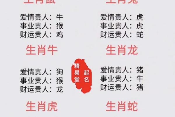 一干二净是什么生肖