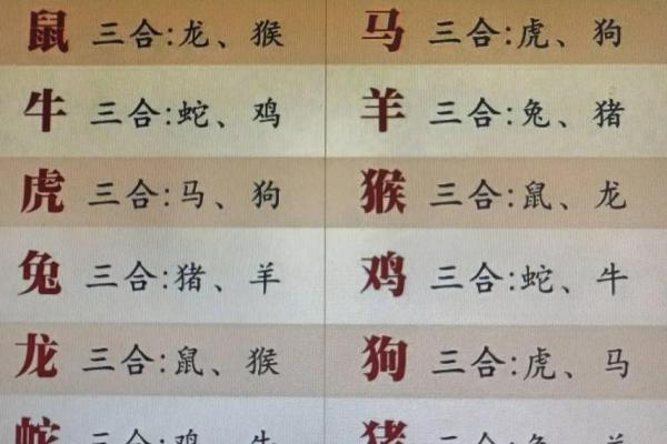 000年属什么生肖 2000出生属什么生肖
