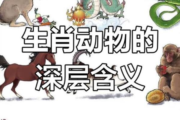 仙居十二楼之上有什么特殊含义，对应哪个生肖动物