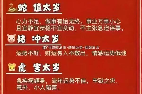12岁属啥的哪年出生的 12岁的人属什么生肖
