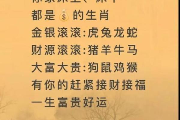 一生寒霜苦命人是什么生肖