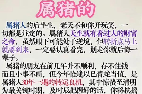 ‌母猪上树打一生肖 → 猴‌（猴攀枝杪，嘲猪笨拙）