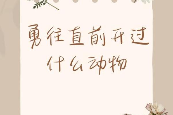 成语方寸不乱所代表的动物谜底及其原因解析