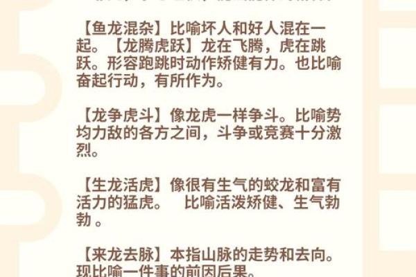 九牛一毛是什么生肖(九牛一毛是什么生肖动物最佳)