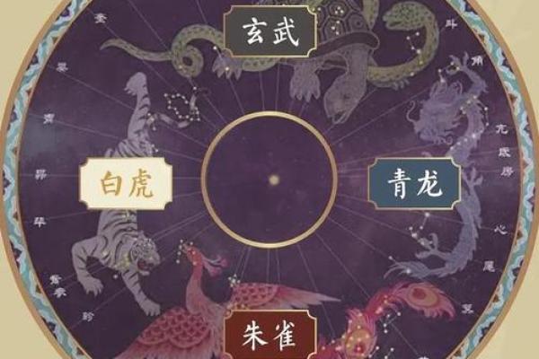 四方来朝是什么生肖