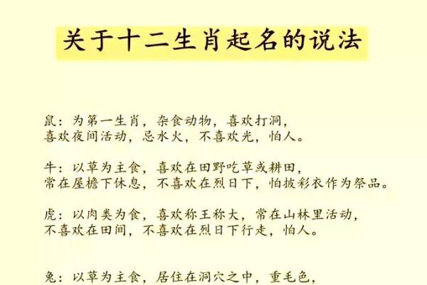 力挽狂澜打一生肖正确答案揭秘，传统文化中的生肖解析