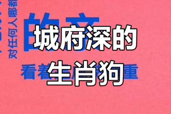 深藏不露打一生肖(深藏不露猜一肖)