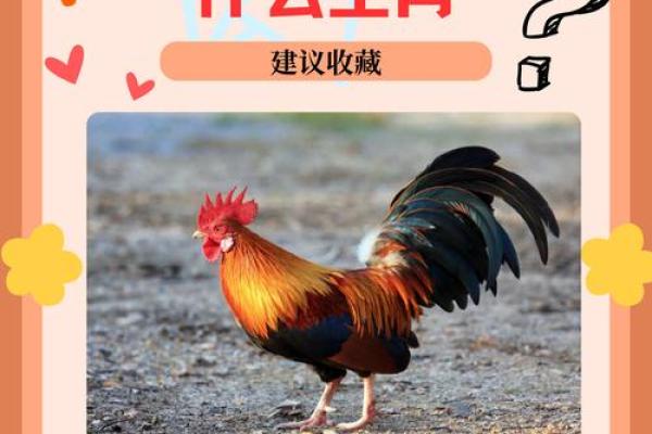 仗义忠臣是指什么生肖(仗义忠臣猜什么生肖)