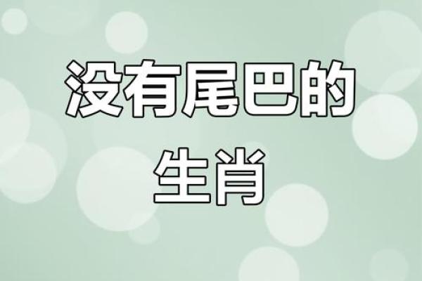 身份不明打一准确动物(身份不明猜生肖)