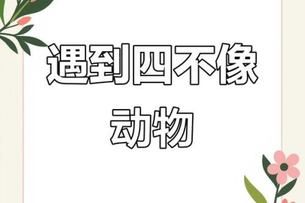 身份不明打一准确动物(身份不明猜生肖)