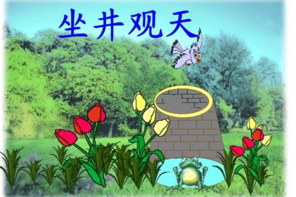 木已成舟指什么生肖