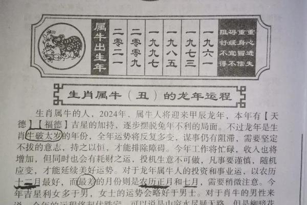 咸阳一炬猜一生肖 咸阳一炬比喻什么生肖