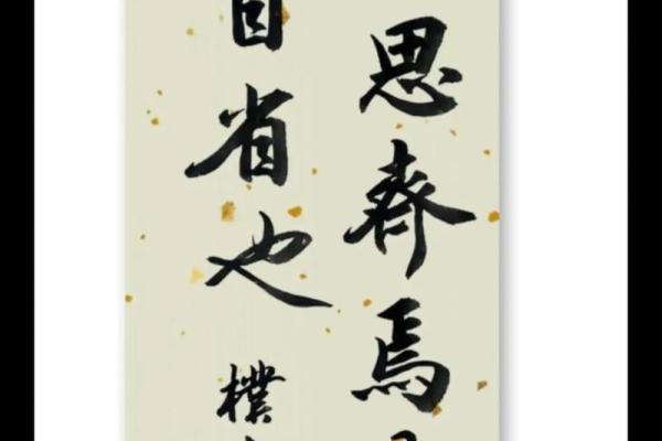 见贤思齐是什么生肖(见贤思齐打一数字)