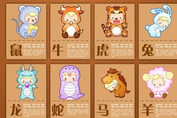 十二生肖中母亲代表什么生肖 十二生肖母亲是指什么生肖