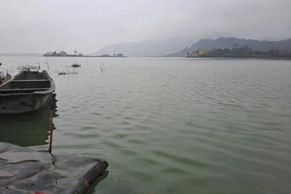 斜风细雨打一个生肖(斜风细雨打什么生肖)
