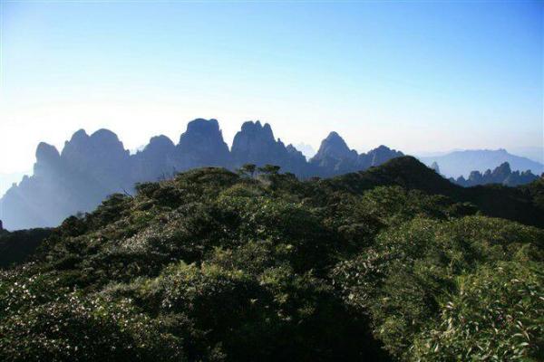 日暮西山是什么生肖(日暮西山是什么动物)