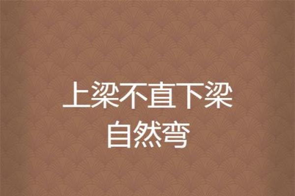 上梁不正下梁歪指什么生肖(上梁不正下梁歪指什么生肖)