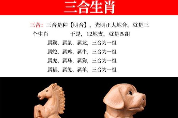 灭门之祸是什么生肖 灭门之祸是什么生肖最佳答案