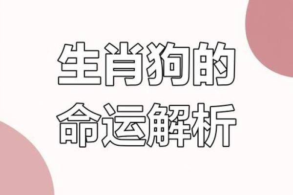 长长久久是什么生肖→ ‌狗‌（久谐音狗，且狗寿命较长）