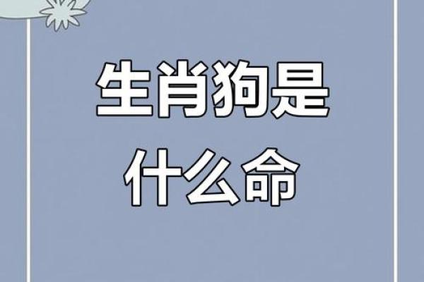 长长久久是什么生肖→ ‌狗‌（久谐音狗，且狗寿命较长）