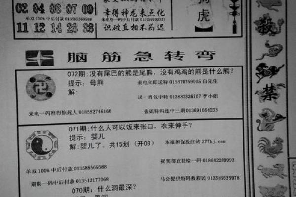 酒囊饭袋是什么生肖