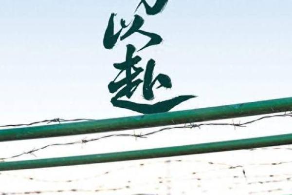 匍匐前进打一生肖(匍匐前进打一字)