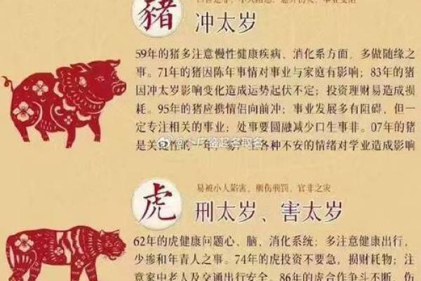 35岁属什么生肖哪年出生的 35岁属什么的