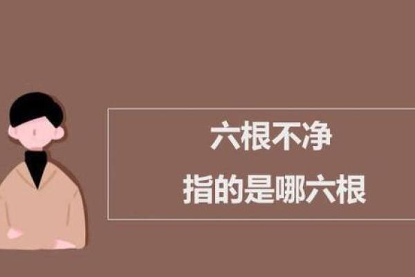 六根未净指的是什么生肖(六根未净指的是什么意思)