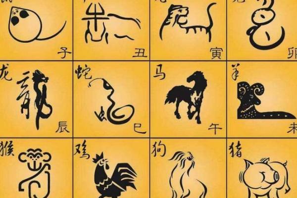年久失修是什么生肖(年久失修的下一句)