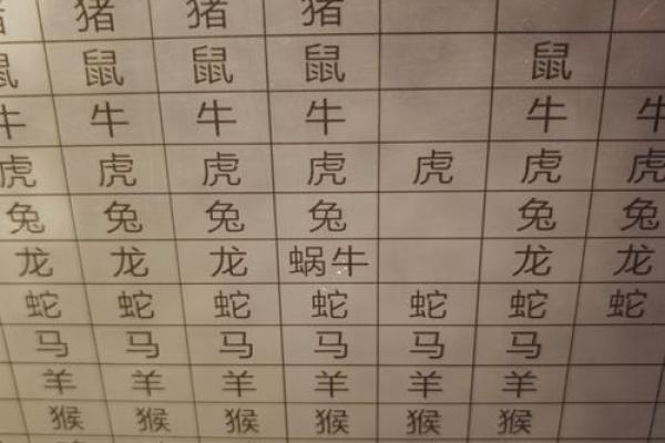 00后是属什么生肖 00年属什么生肖