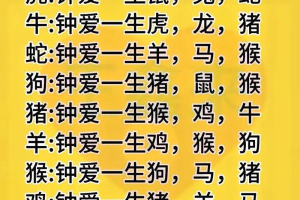 00后是属什么生肖 00年属什么生肖