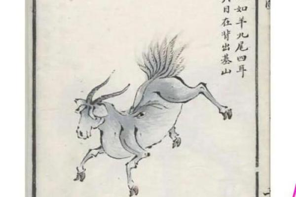 匕鬯不惊打一正确生肖 匕鬯无惊代表什么动物